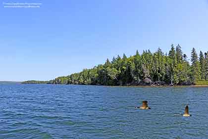 Kanada Bras d'Or Lake