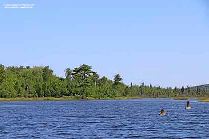 Grundstück Cape Breton