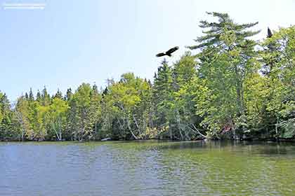 Grundstück Cape Breton