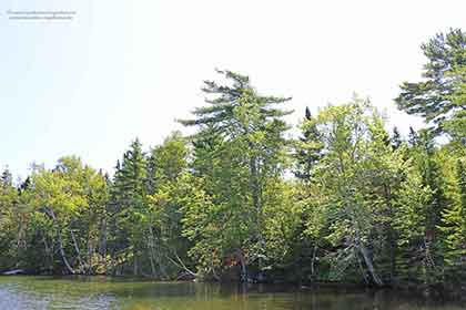 Kanada Grundstück Bras d'Or Lake