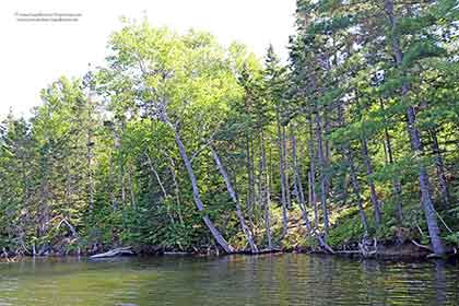 Grundstück Bras d'Or Lake Cape Breton