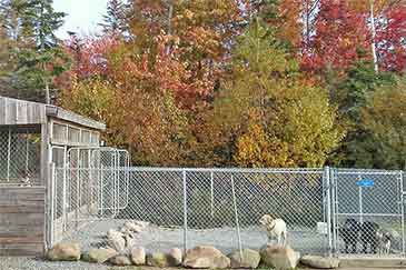 Einwanderungsobjekt Pferdepension und Tierhotel mit Farmhaus am Bras d’Or Lake auf Cape Breton