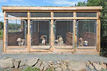 Einwanderungsobjekt Pferdepension und Tierhotel mit Farmhaus am Bras d’Or Lake auf Cape Breton