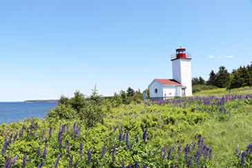 Pferdepension mit Reithalle auf Cape Breton Island, Nova Scotia, Kanada